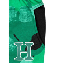 Load image into Gallery viewer, HNL Kids Hoodie Jogging Sports Tracksuit Set - Green